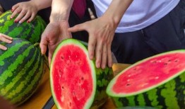 吃瓜免费sp,带你领略轻松娱乐新体验