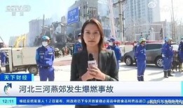 街头记者爆料事件视频大全,事件视频大全深度解析
