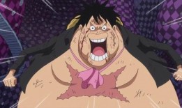 路飞最新果实爆料视频,神秘力量觉醒，航海冒险再升级！