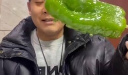 西昌吃瓜事件网红是谁呀,揭秘网红背后的真相