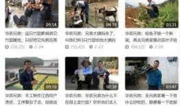 香港网红吃瓜视频在线观看,揭秘娱乐圈幕后故事
