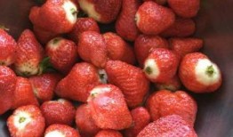 娱乐吃瓜君草莓果酱素颜,娱乐吃瓜君带你揭秘明星真实状态