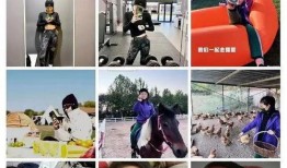 糖豆爸爸爆料视频,精彩瞬间与幕后故事