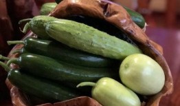 莱阳吃瓜网红是谁,网络红人的崛起与影响力