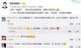 秦奋爆料帝师视频播放全集,秦奋爆料背后的真相与内幕