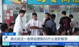 河北学校爆料新闻事件视频,视频揭露惊人真相