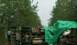 铅山最新爆料事件,揭秘事件背后惊人真相