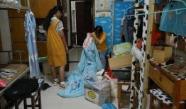 开封小学生最新爆料,校园生活新鲜事大揭秘