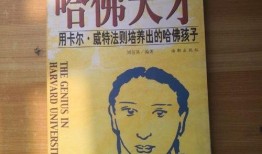 爆料长春探店视频大全,揭秘美食地图，带你领略长春风味