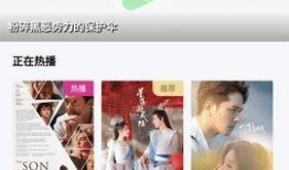 日的视频在线观看,一日精彩瞬间回顾