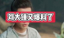 刘大锤最新爆料是啥,揭秘娱乐圈惊人内幕