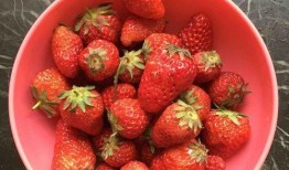 草莓果酱娱乐吃瓜,揭秘娱乐圈的甜蜜瓜田