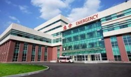 沈北新区最新爆料,揭秘神秘项目背后的惊人真相