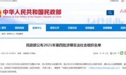 社会最新爆料网站,网络舆论风向标再起波澜