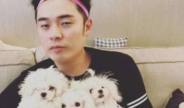 娱乐圈爆料出道年龄