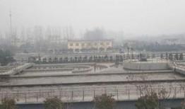 巩义最新爆料,揭秘神秘事件背后的惊人真相