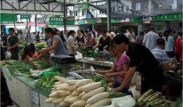 厦门今日菜市场爆料,探寻地道的市井烟火气