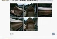 丧心病狂网友爆料视频下载,揭秘网络暴力背后的真相