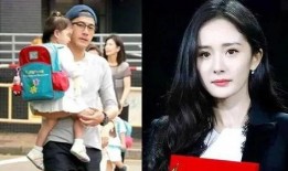 扒叔大爆料杨颖系列视频