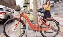 西安自行车爆料视频大全,街头风云，骑行者的真实故事