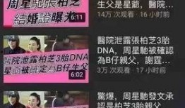 新闻爆料胚胎事件真相,真相背后的伦理争议与法律挑战