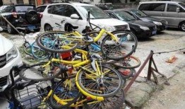 西安自行车爆料视频大全,街头风云，骑行者的真实故事