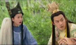 凤 在线观看,在线观看，探寻神秘凤文化的奇幻之旅