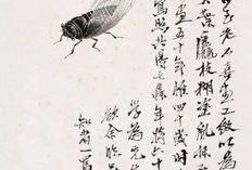 蝉翼在线观看,揭秘神秘世界的一扇窗