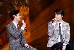 娱乐大爆料李易峰完整版,揭秘明星背后的故事与真相