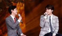 娱乐大爆料李易峰完整版,揭秘明星背后的故事与真相