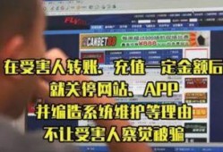 舌尖爆料骗局揭秘视频,视频深度剖析
