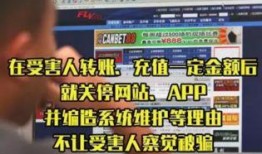 舌尖爆料骗局揭秘视频,视频深度剖析