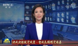 新闻爆料主播是谁呀视频,揭秘新闻爆料背后的主播身份