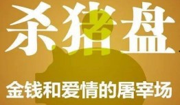 舌尖爆料骗局揭秘视频,视频深度剖析