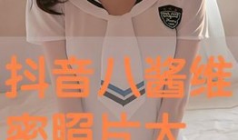 写真在线观看免费,尽在视觉盛宴之旅