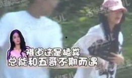 黑红明星爆料视频大全,揭秘娱乐圈幕后真相