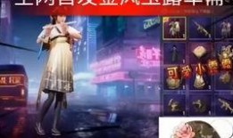 刺激战场最新军需爆料图,神秘装备亮相，战场格局再起风云