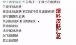 记者皮肤爆料最新,皮肤爆料背后的真实故事