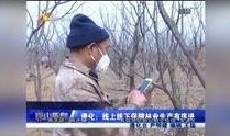 唐山爆料者失联新闻视频,真相迷雾重重