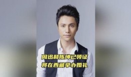 陈坤和周迅最新爆料,揭秘娱乐圈幕后真相
