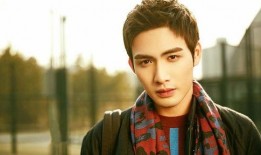 刘大锤最新爆料张彬彬视频,揭秘幕后精彩瞬间