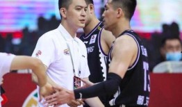 记者爆料杨鸣视频大全最新,记者爆料揭示篮球明星幕后故事