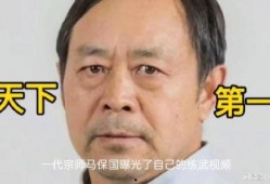 马保国爆料视频,武林风波背后的真相