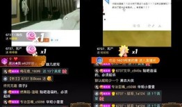 小洲被人爆料视频大全最新,揭秘网络爆料背后的真相与争议