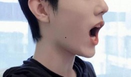 肖战好笑的爆料有哪些视频,盘点那些让人捧腹大笑的爆料视频