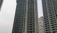 兴丽城最新爆料新闻视频,揭秘神秘项目背后的惊人真相