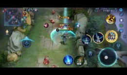 王者老鸟爆料视频,揭秘游戏内幕与精彩瞬间