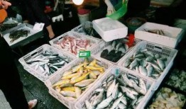 厦门今日菜市场爆料,探寻地道的市井烟火气