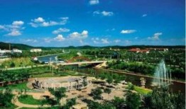 沈北新区最新爆料,揭秘神秘项目背后的惊人真相