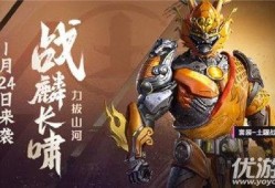 和平精英皮肤后续最新爆料,神秘元素来袭，视觉盛宴即将开启！